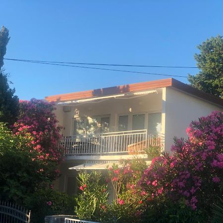 Apartmani Focic سيلتسي المظهر الخارجي الصورة