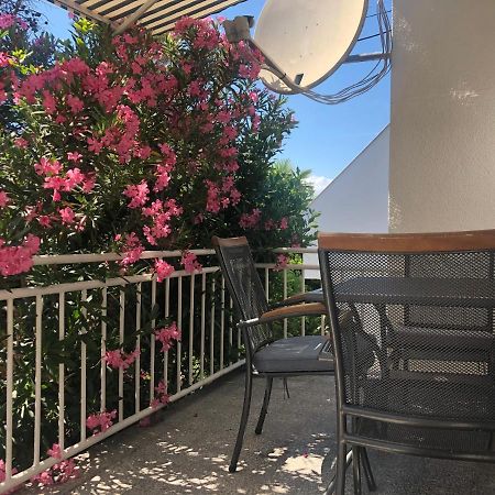 Apartmani Focic سيلتسي المظهر الخارجي الصورة