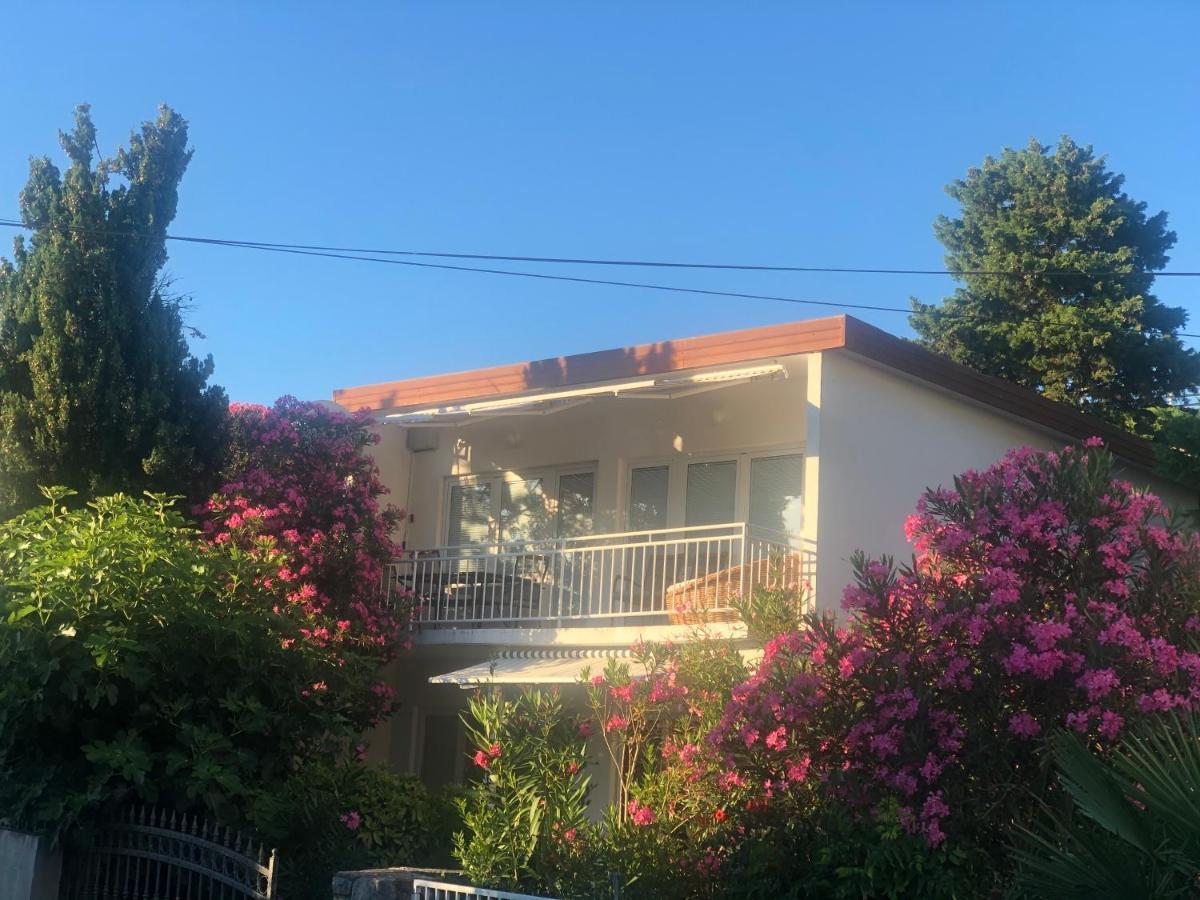 Apartmani Focic سيلتسي المظهر الخارجي الصورة