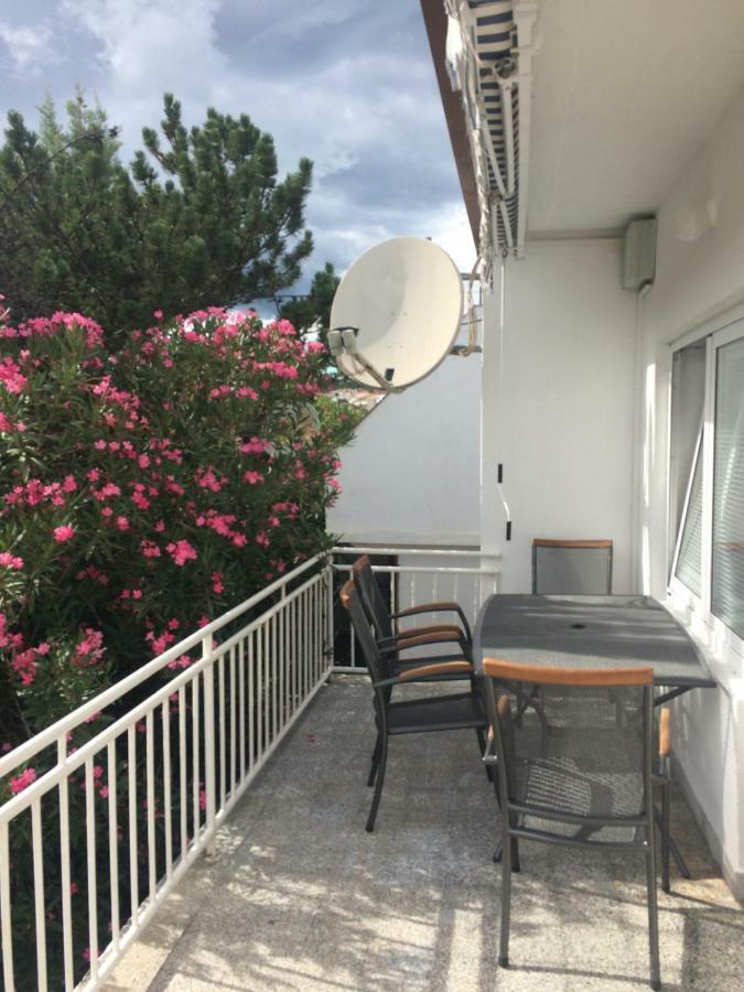 Apartmani Focic سيلتسي المظهر الخارجي الصورة